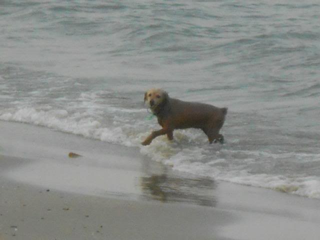DSCN3838.jpg