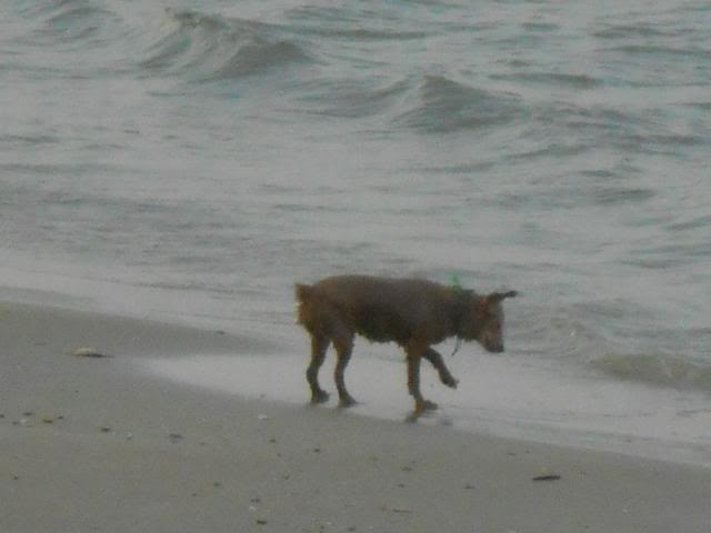 DSCN3839.jpg