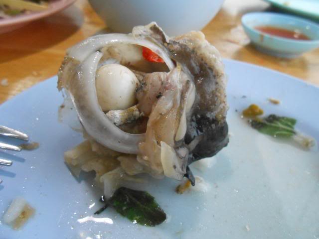 DSCN3845.jpg