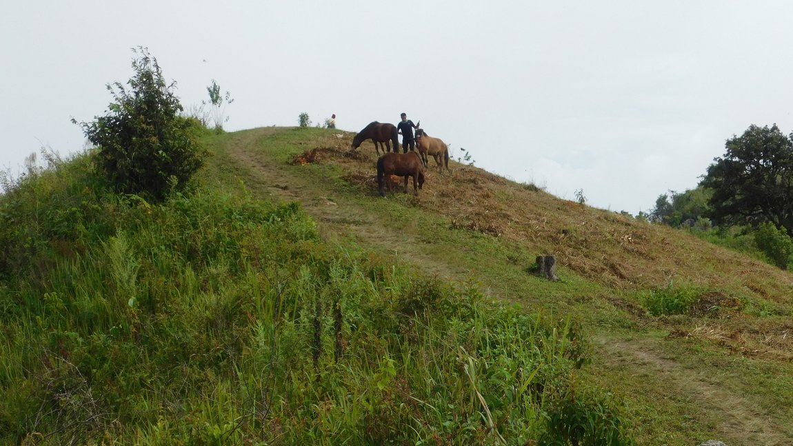 DSCN4197.jpg