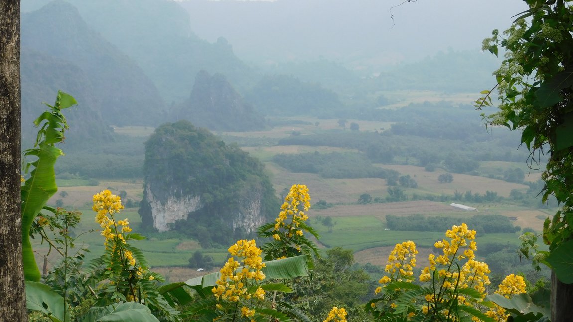 DSCN4238.jpg