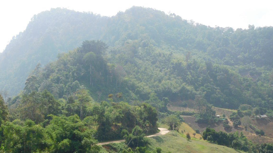 DSCN4305.jpg
