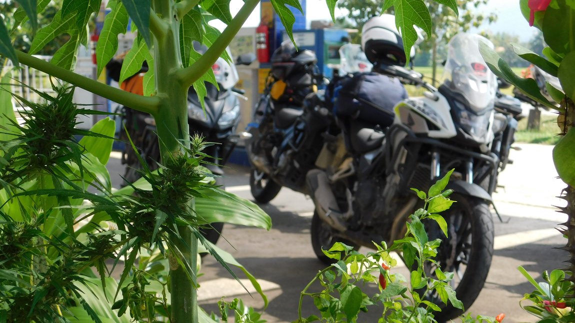 DSCN4356.jpg