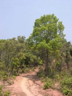 DSCN4868.jpg