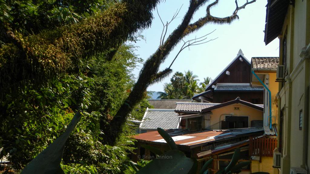 DSCN5277_zpsdaae9afb.jpg