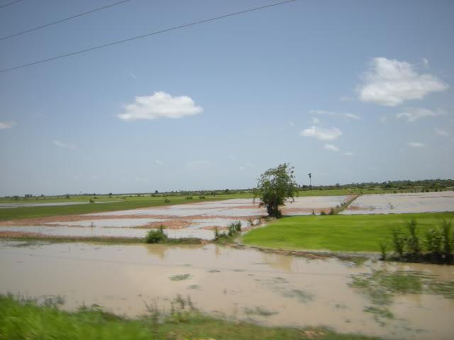 DSCN7081.jpg
