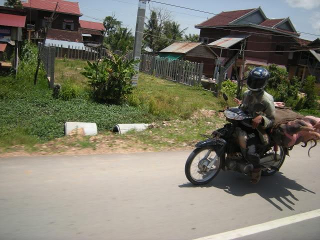 DSCN7089.jpg