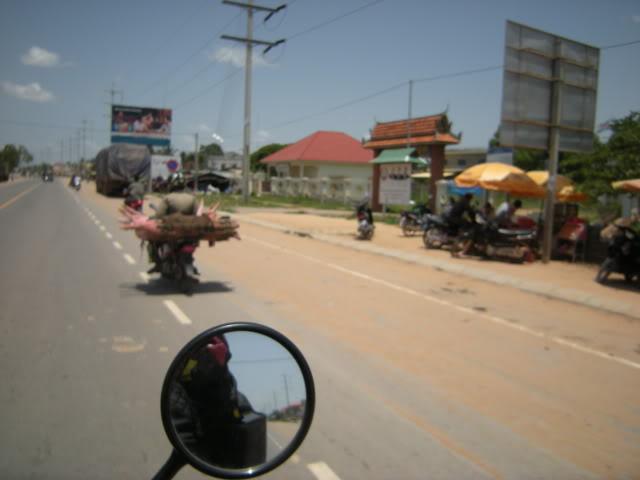 DSCN7091.jpg