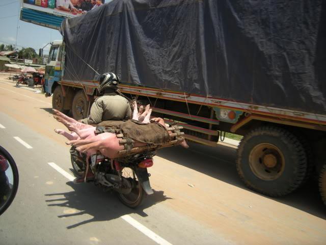 DSCN7092.jpg