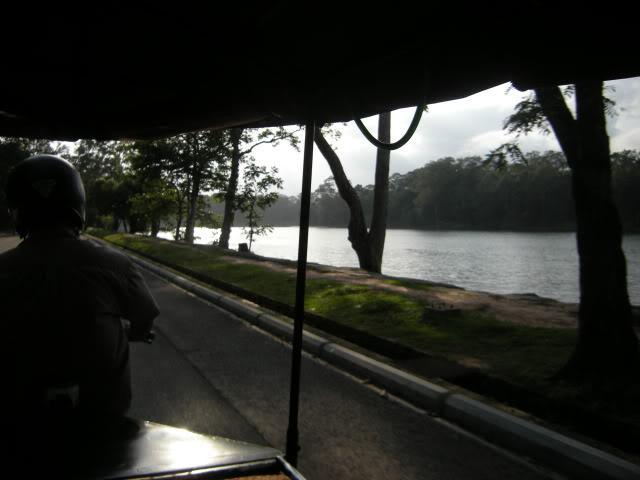 DSCN7246.jpg