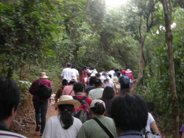 DSCN7274.jpg