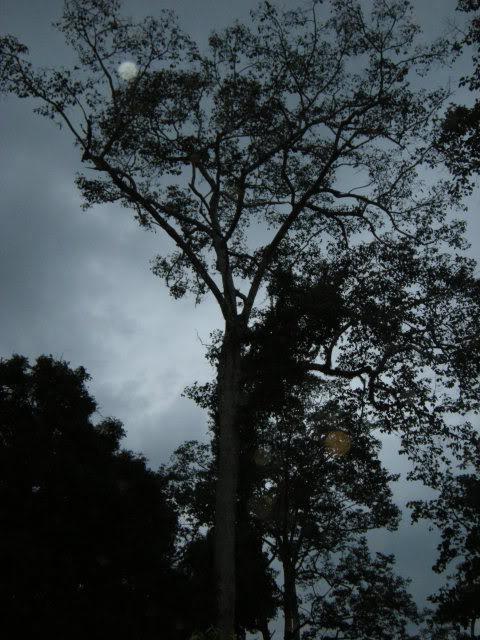 DSCN7350.jpg