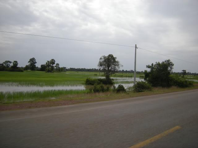 DSCN7723.jpg