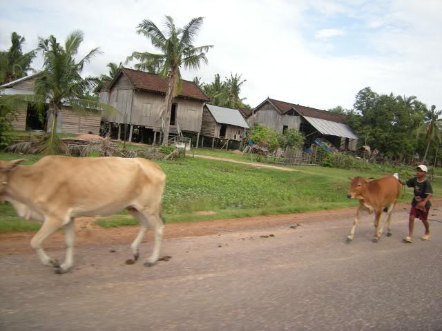 DSCN7736.jpg