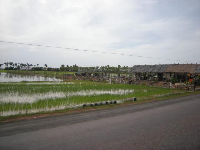 DSCN7776.jpg