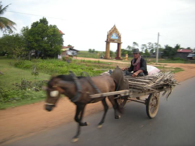 DSCN7901.jpg