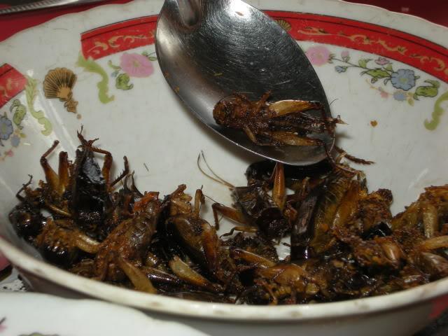 DSCN8115.jpg