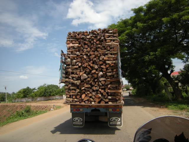 DSCN8128.jpg
