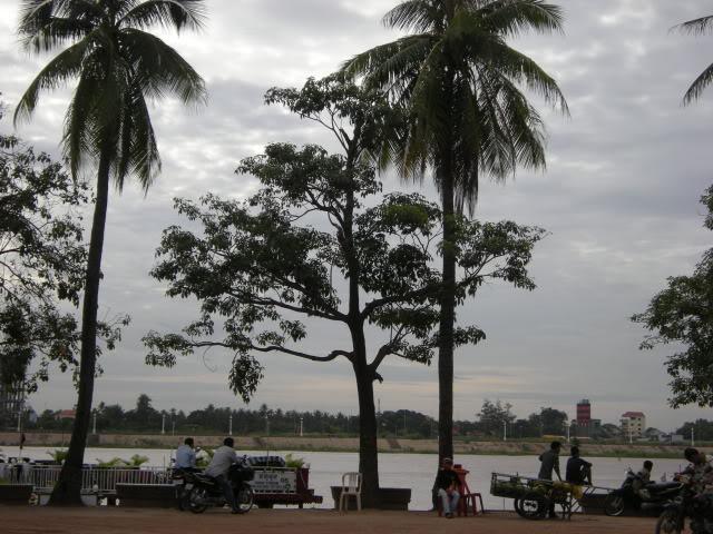 DSCN8251.jpg
