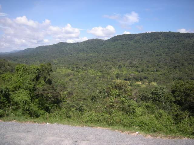 DSCN8397.jpg