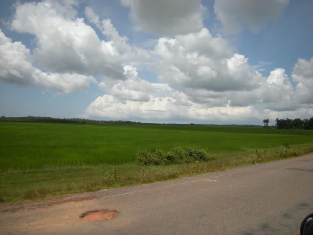 DSCN8444.jpg