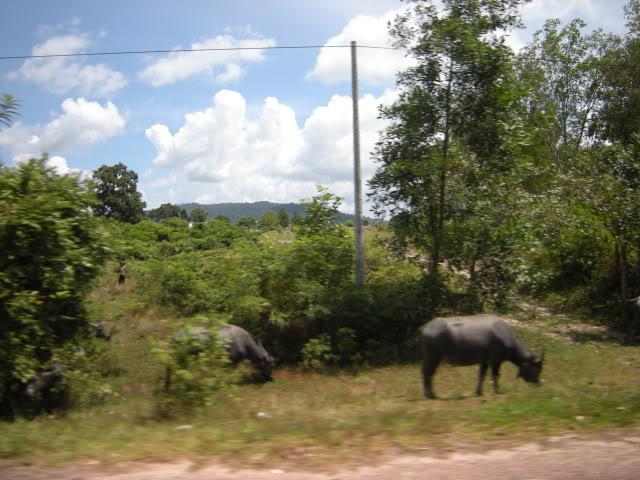 DSCN8450.jpg