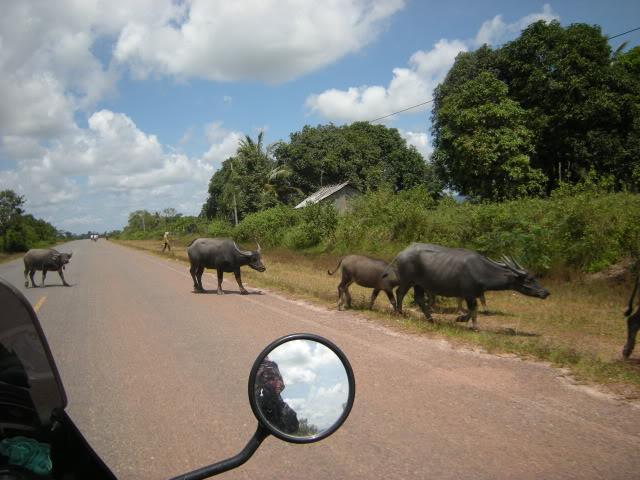 DSCN8452.jpg