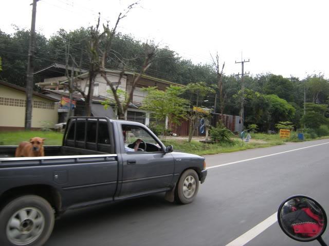DSCN8680.jpg