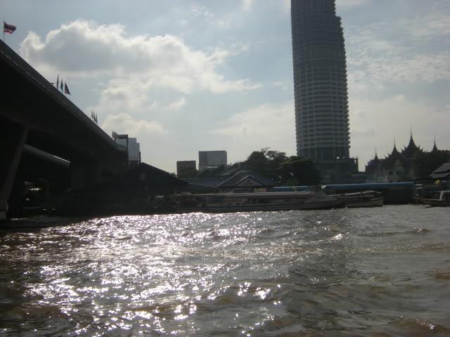 DSCN8728.jpg