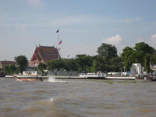 DSCN8733.jpg