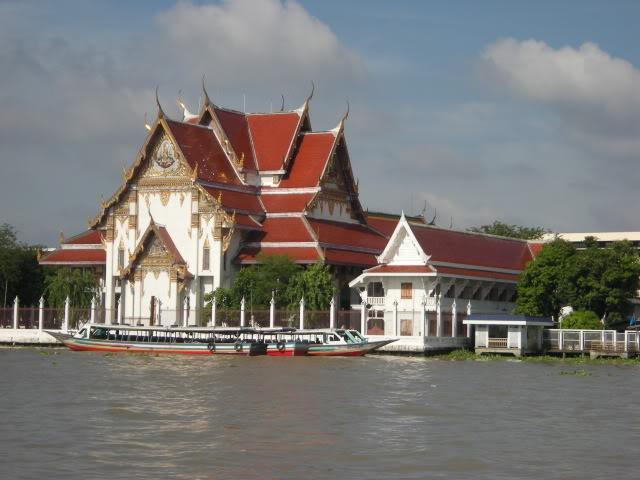 DSCN8742.jpg