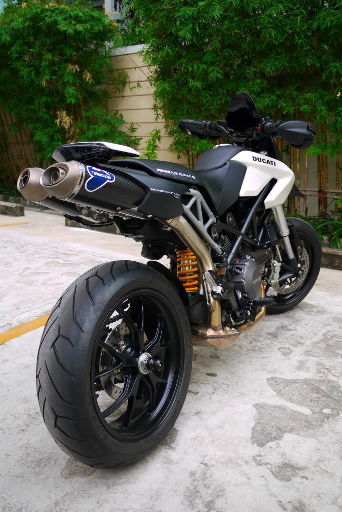 Duc4.jpg
