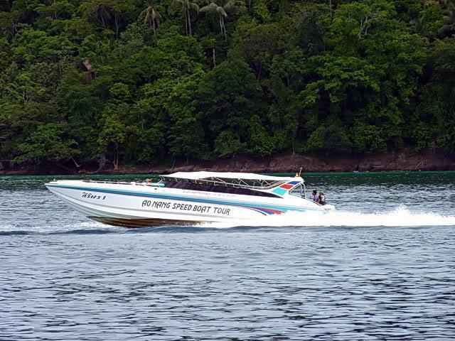 e23.jpg