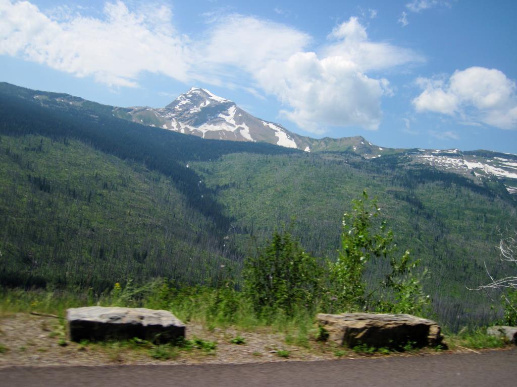 e5b99476629d3ff4a32c6db588ed0f79_zps61b9df02.jpg