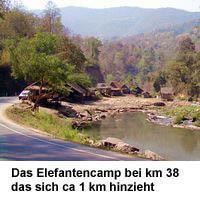 elefantencamp.jpg