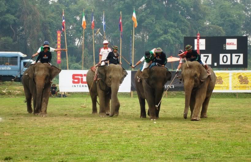 ElephantPolo.jpg