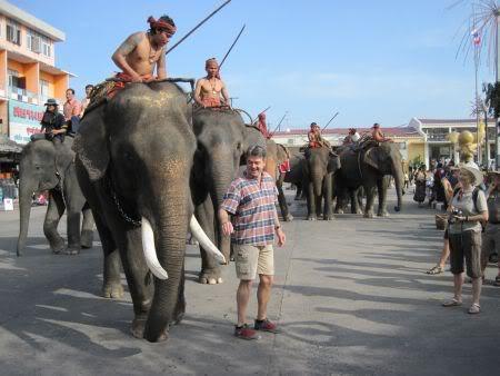 Elephants-lineup.jpg