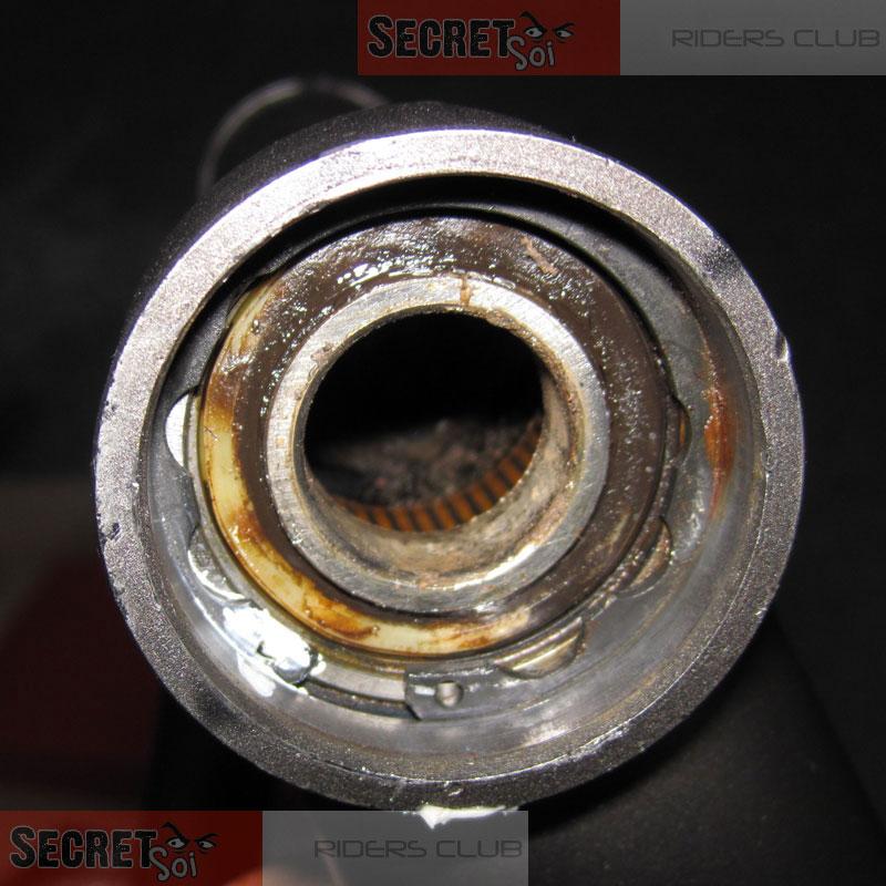 ER6nSwingarmBearingCorrosionSSR.jpg