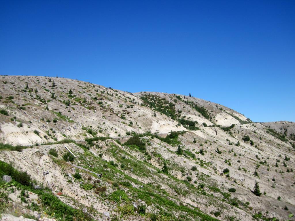 f030d1ea89f840e4d37e5355ba814e95_zps1aa67b34.jpg