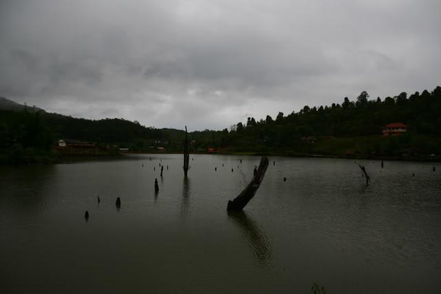 f2d08885.jpg