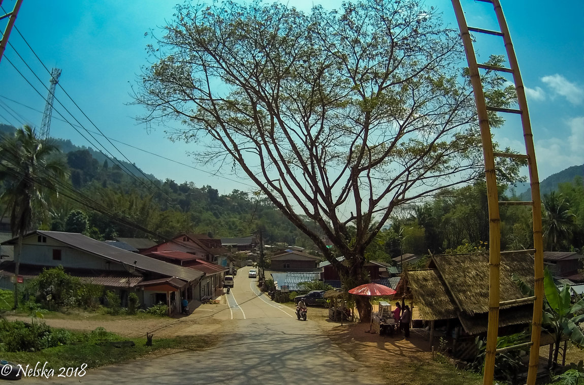 FILE0096.JPG