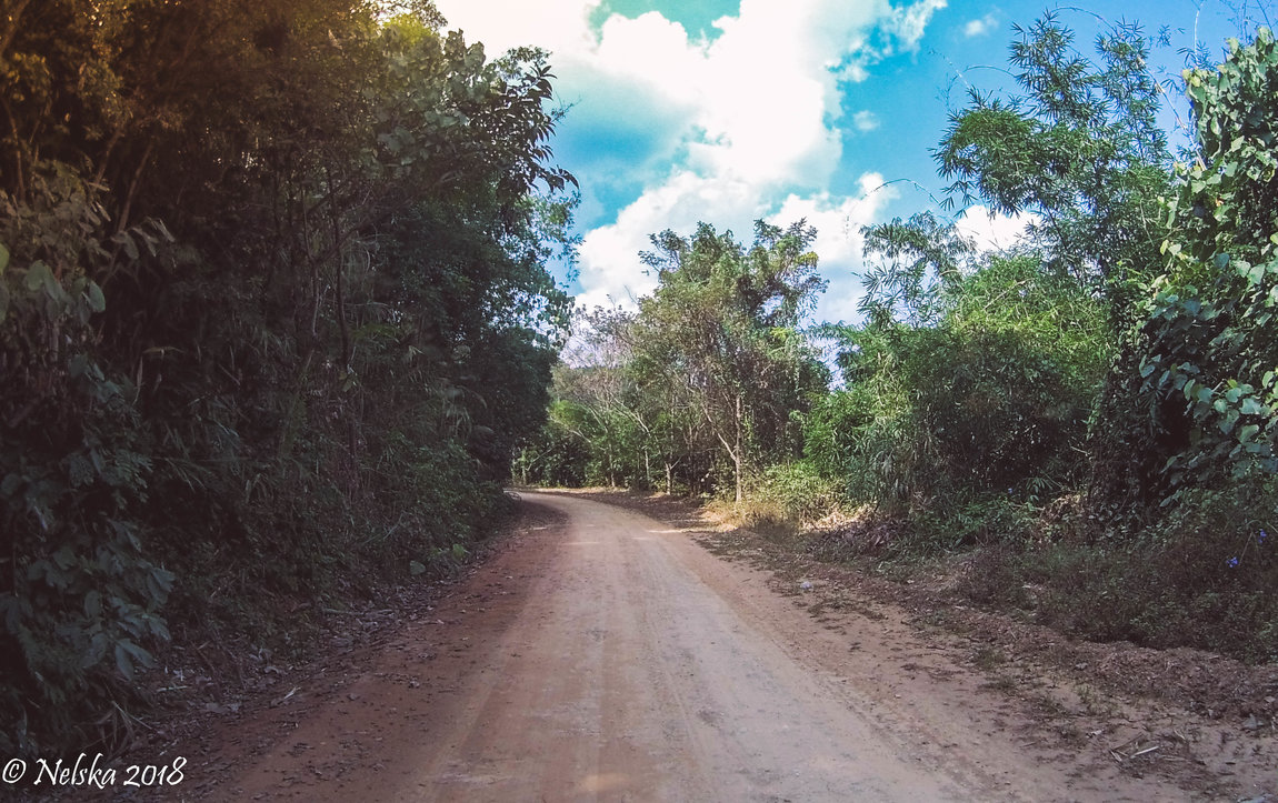 FILE0120.JPG
