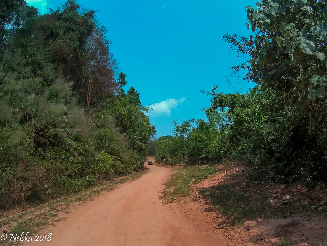 FILE0122.JPG