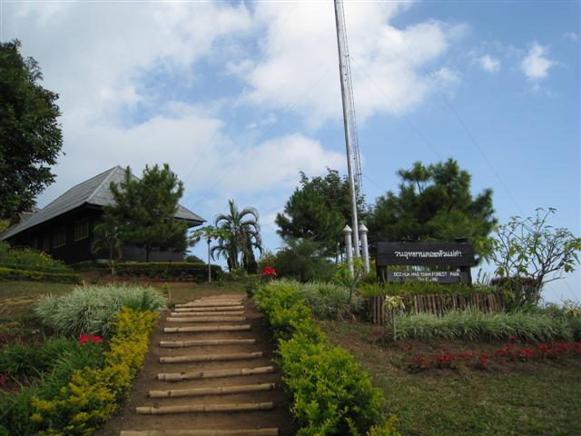 Forestpark1.jpg