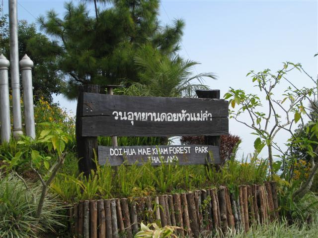 forestpark2.jpg