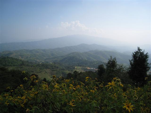 forestpark4.jpg