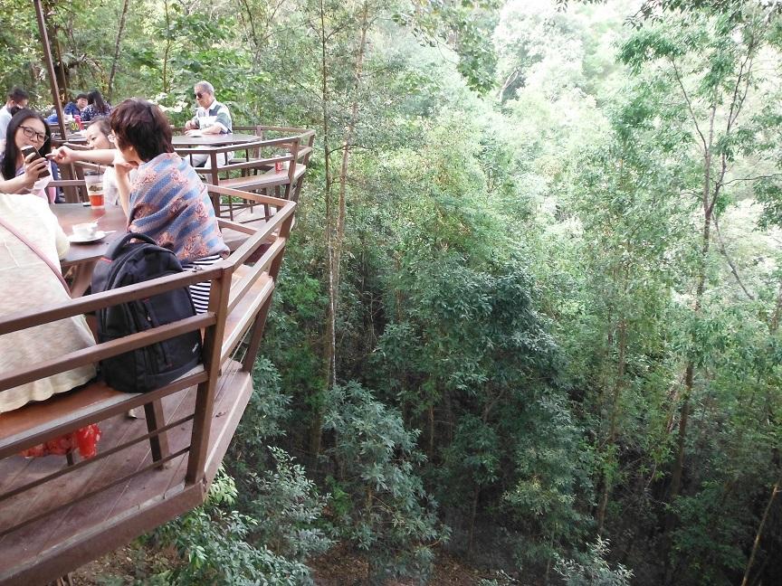 giant treehouse chiang mai (7).JPG
