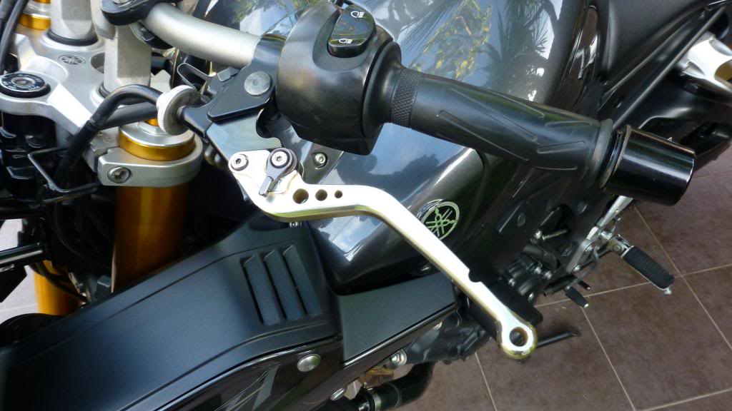 Goldadjustablelevers.jpg