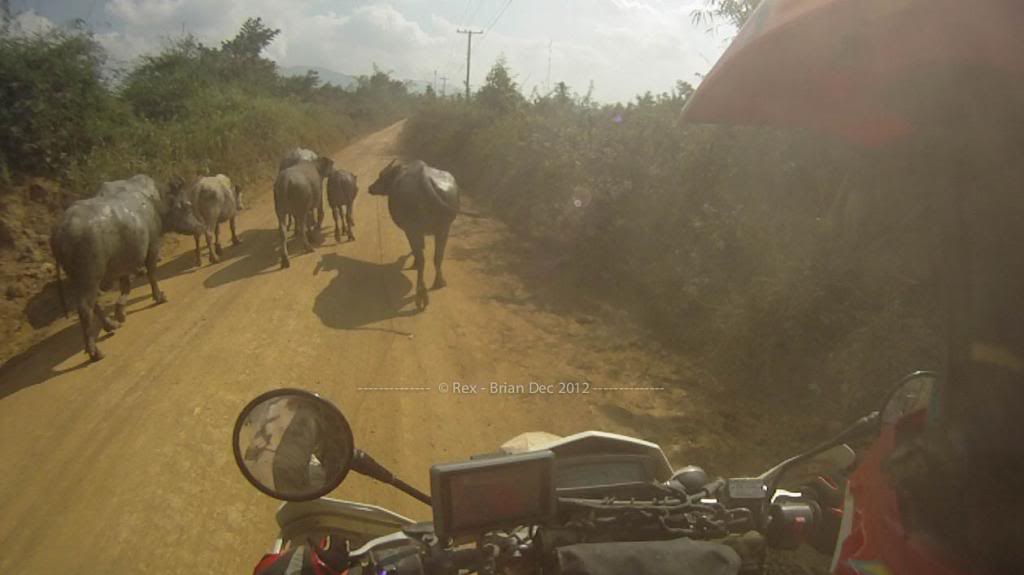 Gopro-16_zpsb6754568.jpg