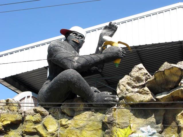 Gorilla.jpg